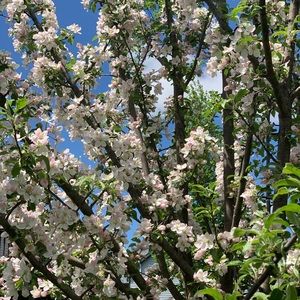 Meet your Posher, Bernadette